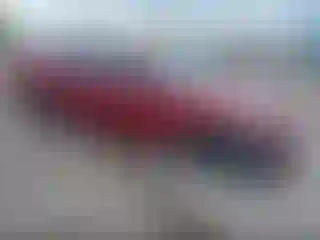 Vehicle Image- 2024 Hyundai Elantra