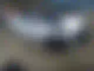 Vehicle Image- 2024 Hyundai Elantra