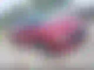 Vehicle Image- 2024 Hyundai Elantra