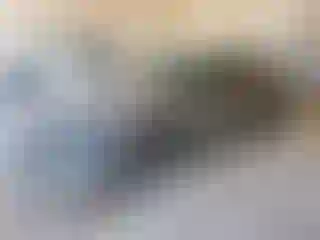 Vehicle Image- 2025 Hyundai Elantra