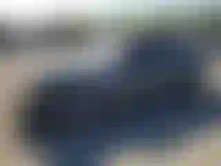 Vehicle Image- 2024 Hyundai Elantra