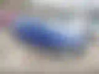 Vehicle Image- 2023 Hyundai Elantra