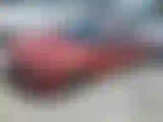 Vehicle Image- 2021 Hyundai Elantra