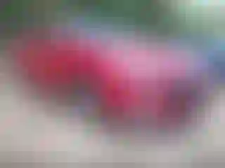 Vehicle Image- 2021 Hyundai Elantra