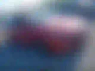 Vehicle Image- 2023 Hyundai Elantra