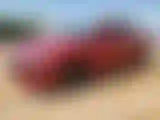 Vehicle Image- 2021 Hyundai Elantra