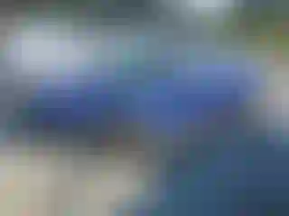 Vehicle Image- 2023 Hyundai Elantra