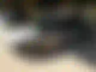 Vehicle Image- 2022 Hyundai Elantra