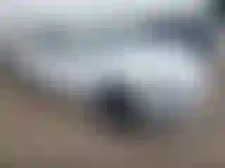 Vehicle Image- 2023 Hyundai Ioniq
