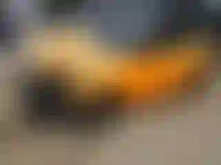 Vehicle Image- 2022 Hyundai Veloster