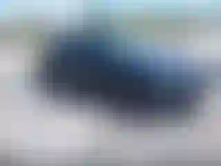 Vehicle Image- 2019 Hyundai Veloster