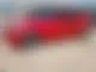 Vehicle Image- 2012 Hyundai Veloster