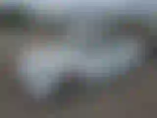 Vehicle Image- 2015 Hyundai Veloster