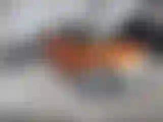 Vehicle Image- 2016 Hyundai Veloster