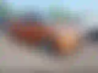 Vehicle Image- 2016 Hyundai Veloster