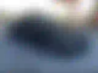 Vehicle Image- 2014 Hyundai Veloster