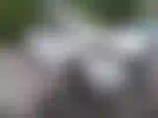 Vehicle Image- 2016 Hyundai Veloster