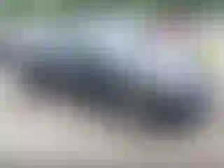 Vehicle Image- 2020 Hyundai Veloster