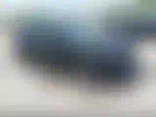 Vehicle Image- 2019 Hyundai Veloster