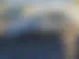 Vehicle Image- 2004 Hyundai Sonata