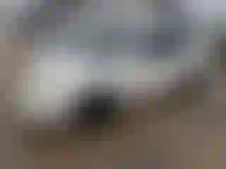 Vehicle Image- 2004 Hyundai Sonata