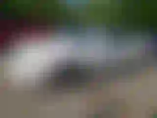Vehicle Image- 2004 Hyundai Sonata