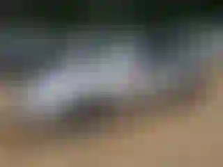 Vehicle Image- 2005 Hyundai Sonata