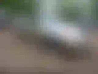 Vehicle Image- 2003 Hyundai Sonata