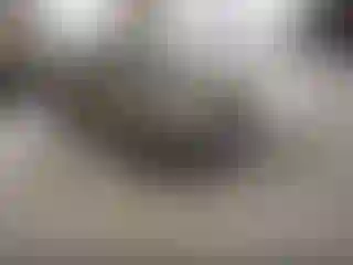 Vehicle Image- 2008 Kia Rio