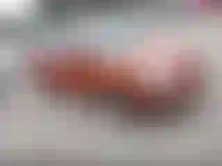 Vehicle Image- 2009 Kia Rio