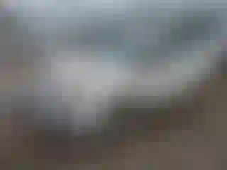 Vehicle Image- 2016 Kia Rio