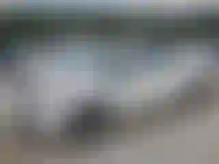 Vehicle Image- 2015 Kia Rio