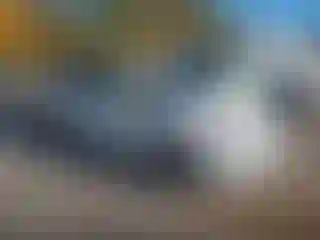 Vehicle Image- 2017 Kia Rio