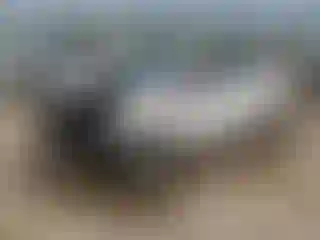 Vehicle Image- 2016 Kia Rio