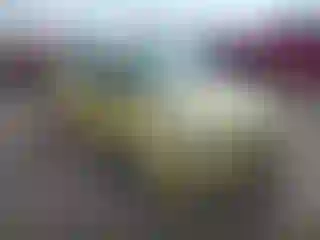 Vehicle Image- 2016 Kia Rio