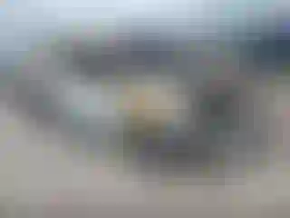 Vehicle Image- 2016 Kia Rio