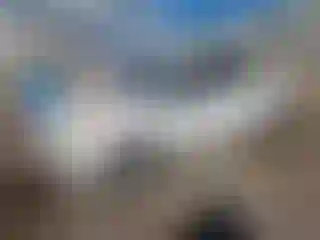 Vehicle Image- 2014 Kia Rio