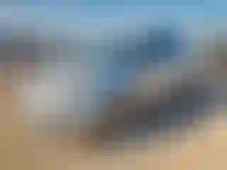 Vehicle Image- 2014 Kia Rio