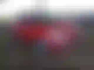 Vehicle Image- 2012 Kia Rio
