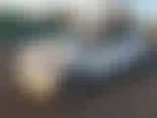 Vehicle Image- 2013 Kia Rio