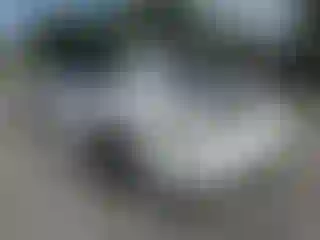 IMPORTOWO.pl