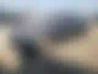 Vehicle Image- 2020 Kia Stinger