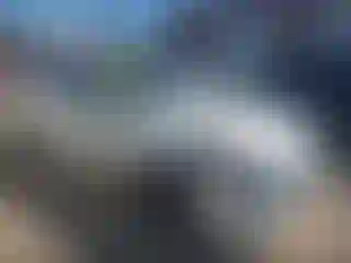 Vehicle Image- 2019 Kia Stinger