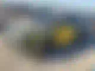 Vehicle Image- 2018 Kia Stinger