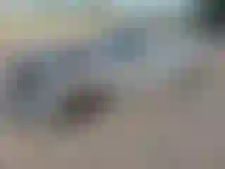 Vehicle Image- 2020 Kia Stinger