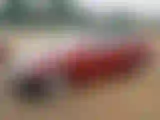 Vehicle Image- 2005 Kia Spectra