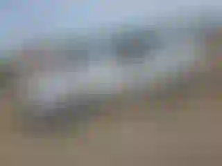 Vehicle Image- 2008 Kia Spectra
