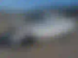 Vehicle Image- 2008 Kia Spectra