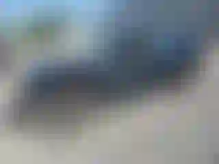 Vehicle Image- 2008 Kia Spectra