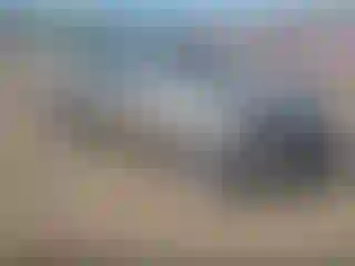 Vehicle Image- 2007 Kia Spectra